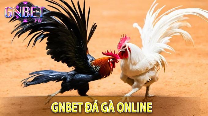 GNBET-Da-Ga-Online